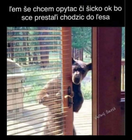 Šicko OK