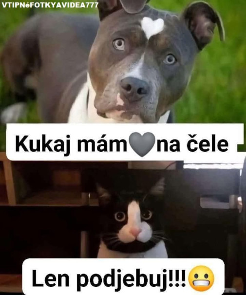 Na čele