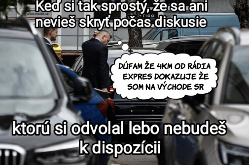 Pelltrtlajz