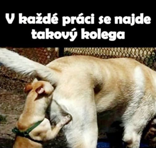 V každej robote....